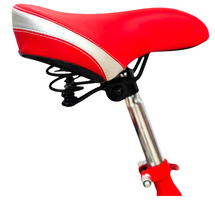 Load image into Gallery viewer, Tricycle with rear passenger carrier 20"
