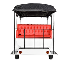 Load image into Gallery viewer, VINTAGE Royal Golf Carts - Electric LY 11 Seater
