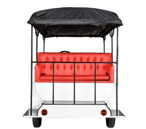 VINTAGE Royal Golf Carts - Electric LY 11 Seater