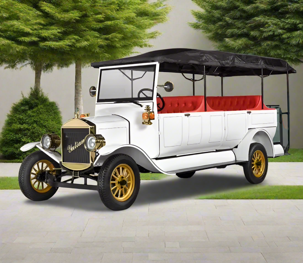 VINTAGE Royal Golf Carts - Electric LY 11 Seater