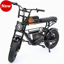 Load image into Gallery viewer, Kugoo T31  City Harley Electric Bike 48V 13Ah 750W With Removable Battery
