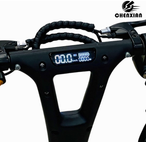 Chenxian Foldable Kick Scooter with Seat & Rear Basket