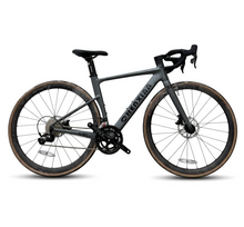 Load image into Gallery viewer, RT600 Road Bike With Carbon Steel Frame

