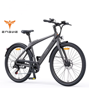 ENGWE N1 Air E-Bike 36V 10Ah 250W-PRE ORDER