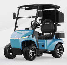 Load image into Gallery viewer, Luxury Electric Golf Cart 01 seater
