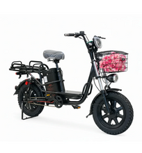 Load image into Gallery viewer, New Heavy Duty City Electric Bicycle
