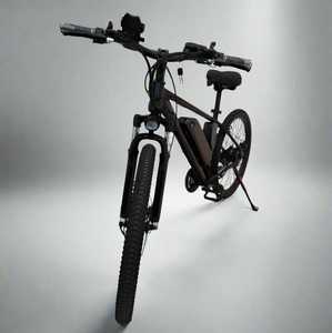 Winnersky Electric Bike 36V 10Ah 500W