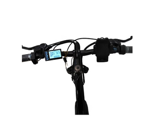 Winnersky Electric Bike 36V 10Ah 500W
