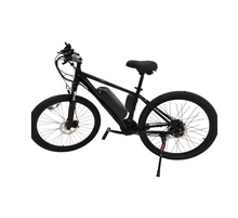Load image into Gallery viewer, Winnersky Electric Bike 36V 10Ah 500W
