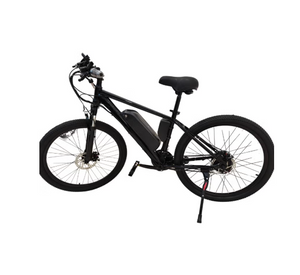 Winnersky Electric Bike 36V 10Ah 500W