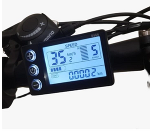 Winnersky Electric Bike 36V 10Ah 500W