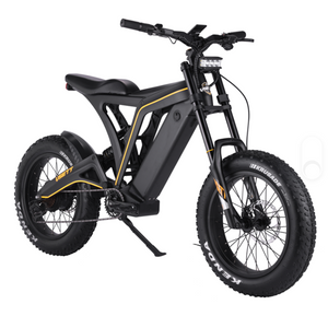 VSETT Eagle Fat Tire Electric Bike 48V 20Ah 750W