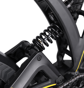 VSETT Eagle Fat Tire Electric Bike 48V 20Ah 750W