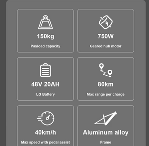 VSETT Eagle Fat Tire Electric Bike 48V 20Ah 750W