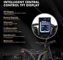 Load image into Gallery viewer, VSETT Eagle Fat Tire Electric Bike 48V 20Ah 750W
