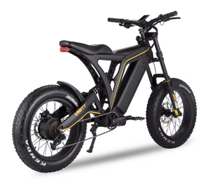 VSETT Eagle Fat Tire Electric Bike 48V 20Ah 750W