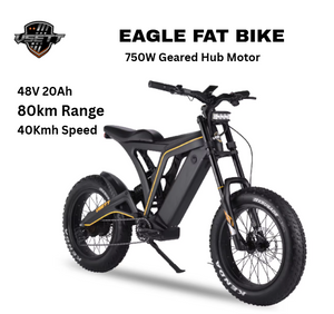 VSETT Eagle Fat Tire Electric Bike 48V 20Ah 750W