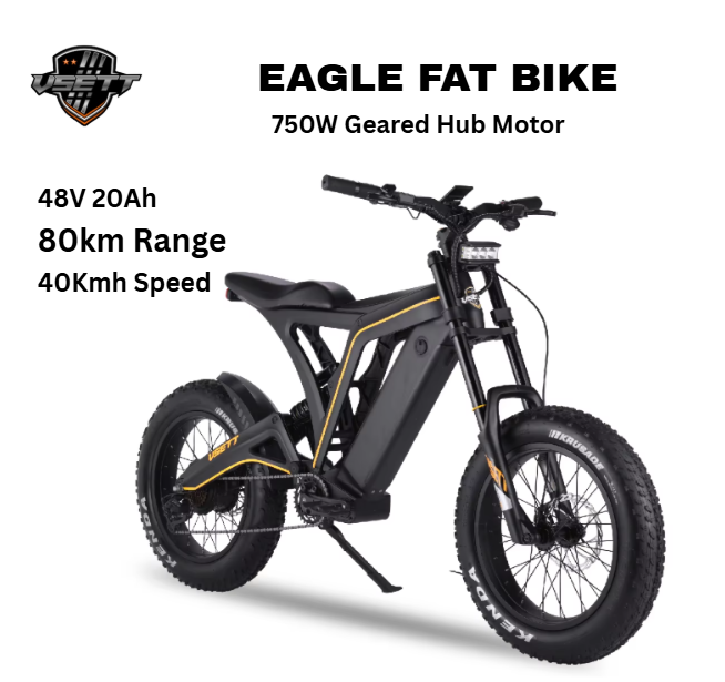 VSETT Eagle Fat Tire Electric Bike 48V 20Ah 750W