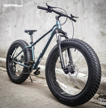 Load image into Gallery viewer, Trinx T106 Fat Harley Bike
