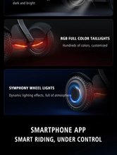 Load image into Gallery viewer, Ninebot Mini Pro 2 Self Balancing Scooter Black Upgrade Version - E-Scooter UAE Hub
