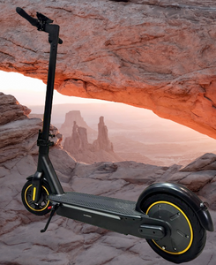 Max Electric Scooter 36V 10Ah 500W - E-Scooter UAE Hub