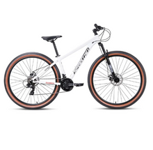 Load image into Gallery viewer, Spartan Viper Hardtail Mountain Bicycle, Steel Frame, 21-Speed Shimano
