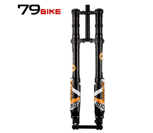 79BIKE-Falcon Pro Electric Dirt Bike