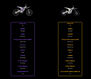 79BIKE Falcon GT Electric Dirt Bike