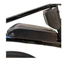 Load image into Gallery viewer, Winnersky Electric city Bike for City Delivery 36V 10Ah 500W
