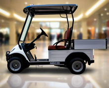 Load image into Gallery viewer, Short Utility Cargo Golf Cart -2 Seater
