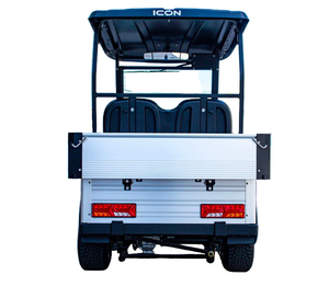 Short Utility Cargo Golf Cart -2 Seater