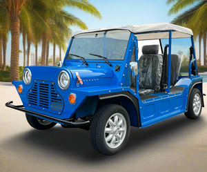 Mini Moke Electric Sightseeing Buggy Car Moke Golf Cart-Full Alloy