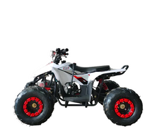 Load image into Gallery viewer, Mini ATV 125CC – The Perfect Off-Road Learning ATV for Kids
