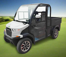 Load image into Gallery viewer, Air Conditioned Cargo Golf cart 2 Seater 2025 new
