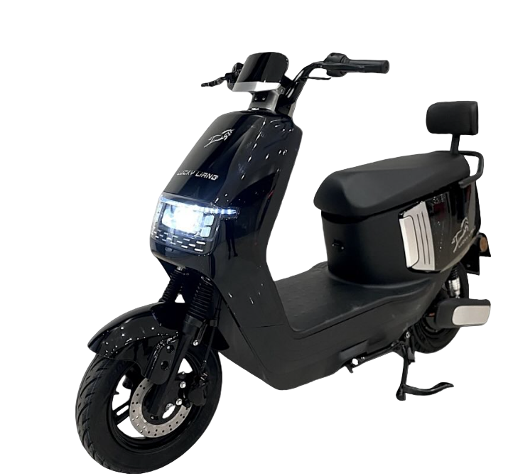 J2 Electric Bike 60v20Ah 1000W