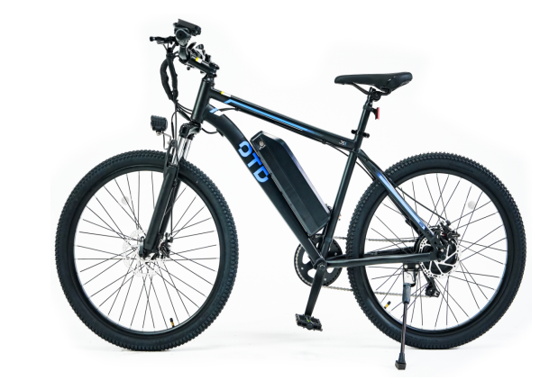 DS01 Electric Bike 48V 13Ah 500W