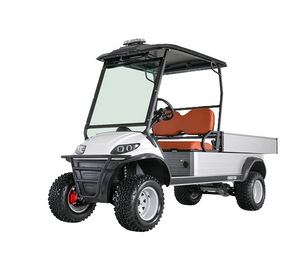 2-Seater Lifted Utility Cargo Golf Cart with Hydraulic Cargo Lift