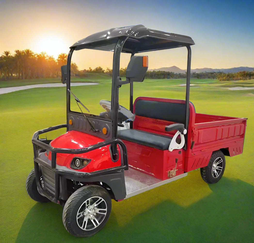 Electric Golf Cart 02 Seater with Long Cargo Utility Box