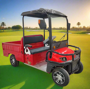 Electric Golf Cart 02 Seater with Long Cargo Utility Box