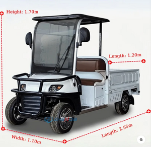 Electric Golf Cart 02 Seater with Long Cargo Utility Box