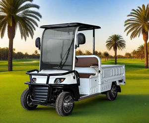 Electric Golf Cart 02 Seater with Long Cargo Utility Box