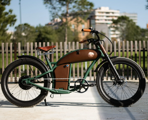 Rayvolt Cruzer L Classic Into Modern Electric Bike - E-Scooter UAE Hub