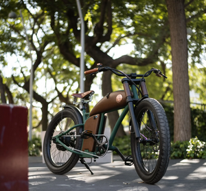 Rayvolt Cruzer L Classic Into Modern Electric Bike - E-Scooter UAE Hub