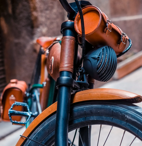 Rayvolt Cruzer L Classic Into Modern Electric Bike - E-Scooter UAE Hub