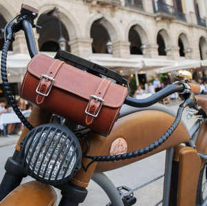Rayvolt Cruzer L Classic Into Modern Electric Bike - E-Scooter UAE Hub