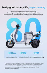 Ninebot A80+ Electric Bike 80km Range 2023 Model