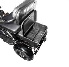 Load image into Gallery viewer, X3B Electric Bicycle Three wheel motorcycle 350W 48V 40KM Range with kids seat - E-Scooter UAE Hub
