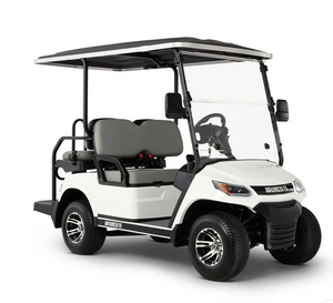 Z2 Electric Golf Cart-LV 4 Seater