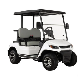 Electric Golf Cart Buggy LT  – 2 Seater (4000W | 100km Range)