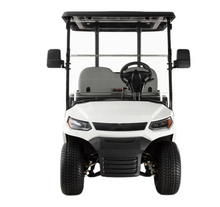Load image into Gallery viewer, Electric Golf Cart Buggy LT  – 2 Seater (4000W | 100km Range)

